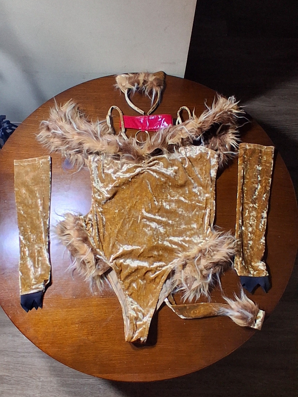 Fashion Nova Women's Scaredy Lion Halloween Costume Set